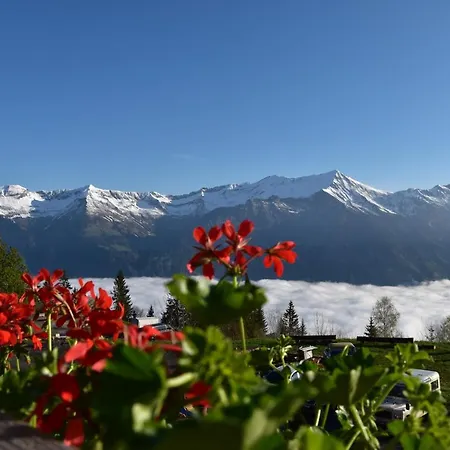 Chemihuettli 아파트 *